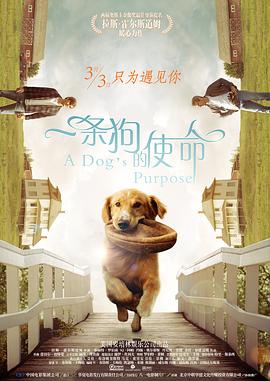 一区二区视频欧美