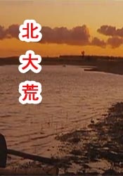 国产成人久久综合二区