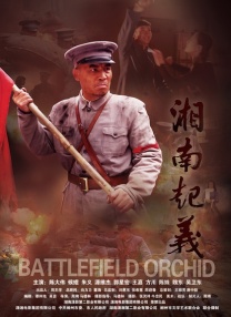 免费在线a