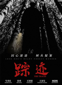 国产传媒播放