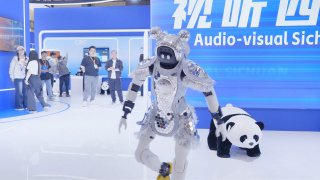 国内精自品线一区91